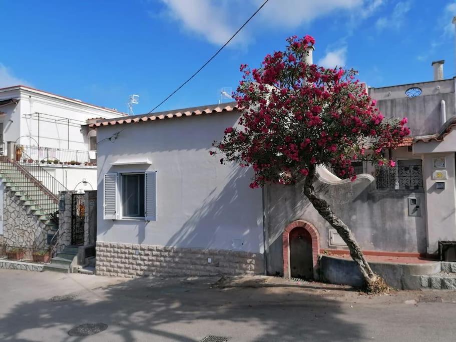 Sweet Home, Anacapri Zewnętrze zdjęcie
